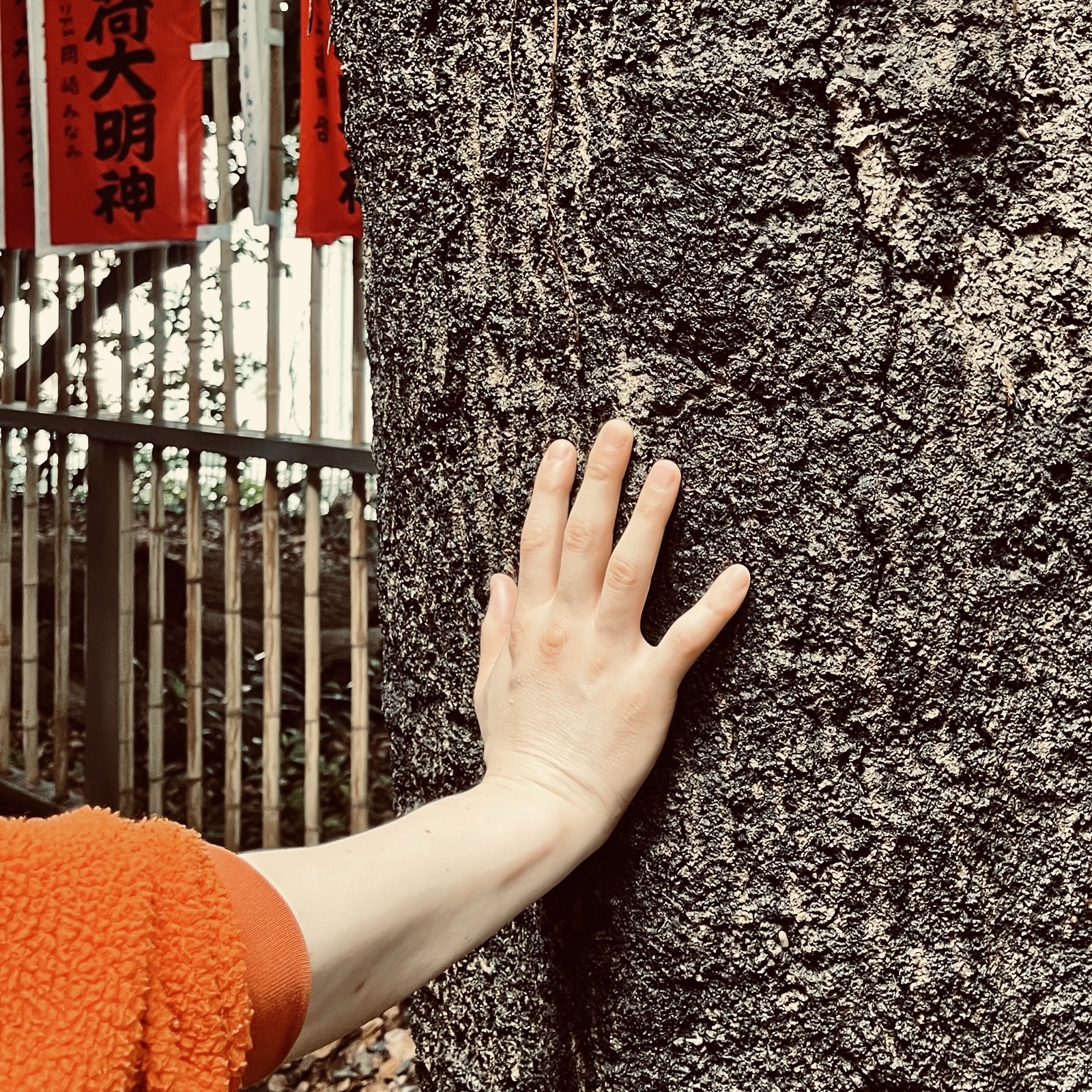 ムーンテッド（MoonTed）の日記より、代々木八幡宮の大木の幹に手を当てる。奥に稲荷大明神の幟