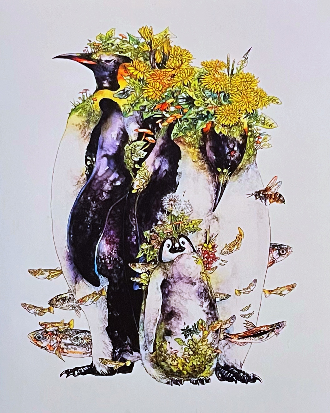 ムーンテッド（MoonTed）の日記より、缶の蓋のアップ。頭に花を咲かせたペンギンの親子を、魚や蜂が取り巻くマツダケンさんの水彩画