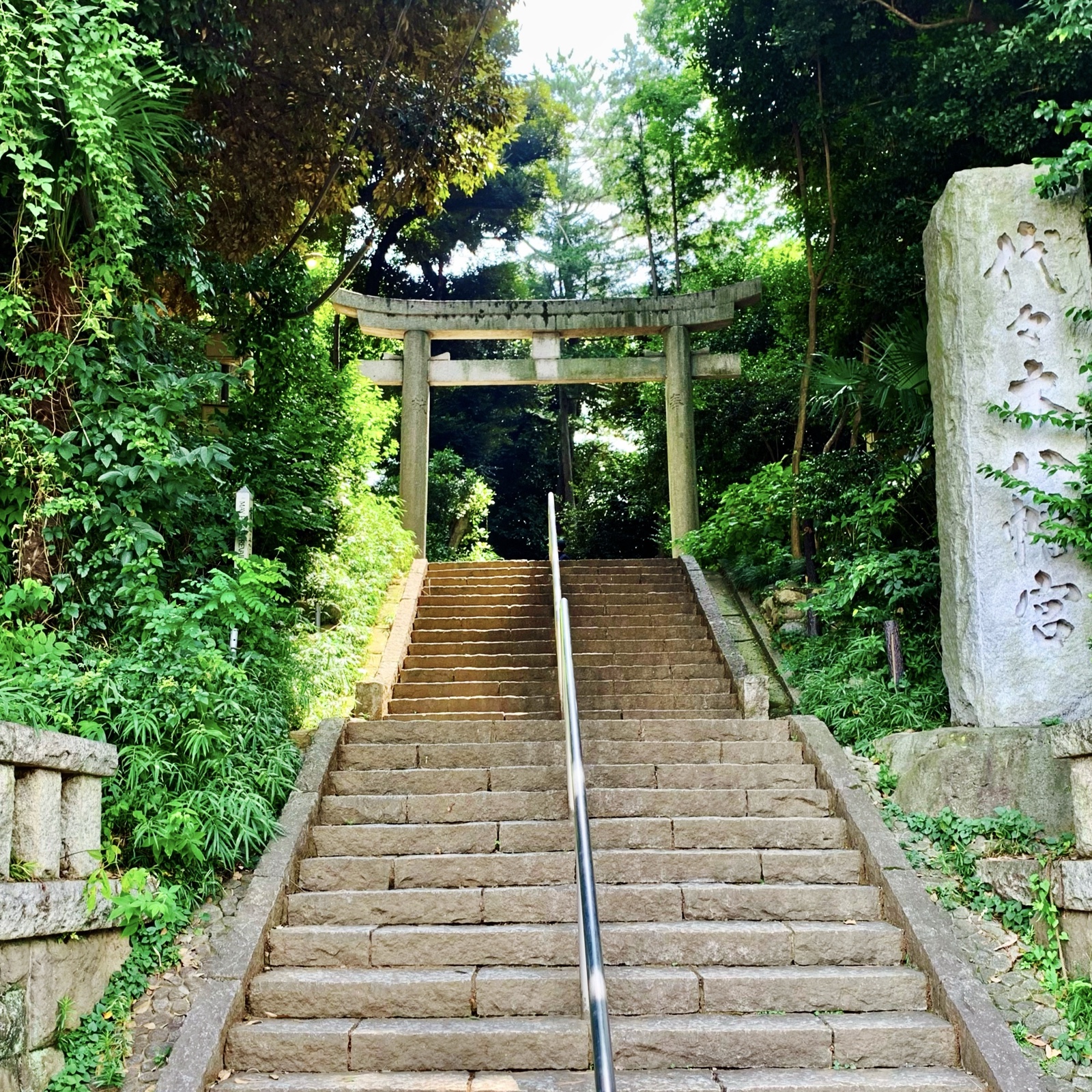 ムーンテッド(MoonTed)の日記より、代々木八幡宮の石段と鳥居。右に社号標