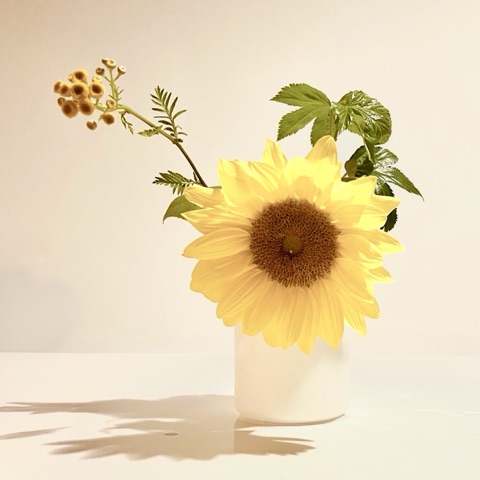 ムーンテッド（MoonTed）の日記より、白い花瓶に生けた一輪のひまわり。黄色い小花のつぼみと緑の葉を添え、テーブルに影が落ちている
