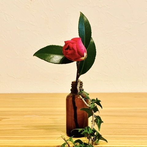 ムーンテッド（MoonTed）の日記より、遮光瓶に挿した寒椿のつぼみと緑の葉、垂れ下がるアイビー
